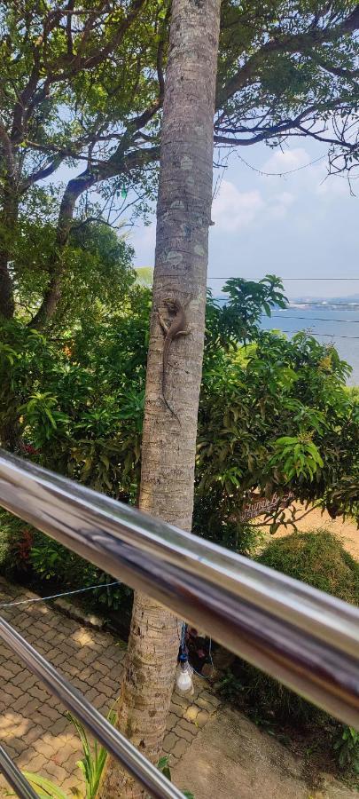 Jungle Beach Restaurant And Hotel-Jbr Гале Екстериор снимка